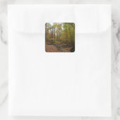 Sticker Carré Fall Creek à Laurel Hill State Park Pennsylvania (Sac)