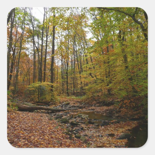 Sticker Carré Fall Creek à Laurel Hill State Park Pennsylvania (Devant)