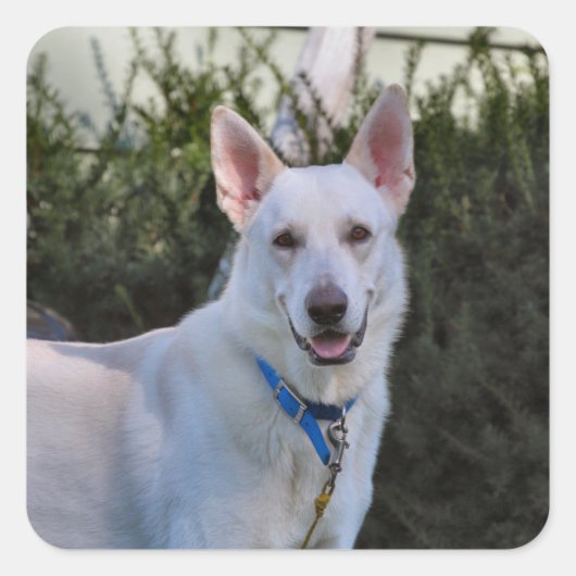 Sticker Carré Fantôme (Devant)