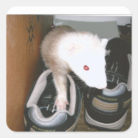 Sticker Carré Farret et la broche (Devant)