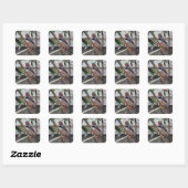 Sticker Carré Faune Zebra Finch Photo (Feuille)