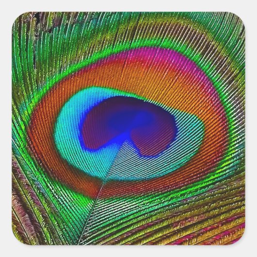 Sticker Carré Feather Vibrant Copper (Devant)