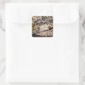 Sticker Carré Fée sur une branche (Sac)