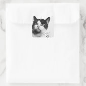 Sticker Carré Félicette : Le premier chat dans l'espace (Sac)