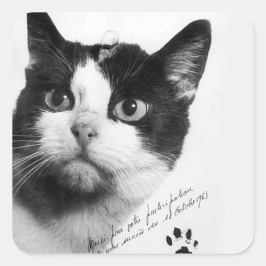 Sticker Carré Félicette : Le premier chat dans l'espace (Devant)