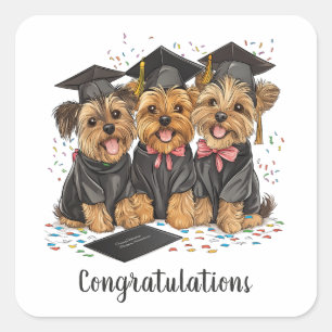 Sticker Carré Félicitations Diplôme Yorkshire Terrier Chiens