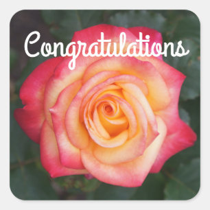 Sticker Carré Félicitations rêver de devenir un vrai Rose #1 Sti