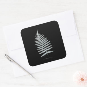 Sticker Carré Fern - Gymnogramma Villosa - Effet de rayons X - 0