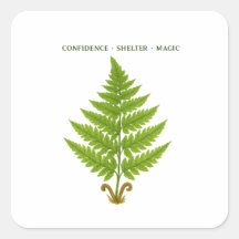 Fern Signification
