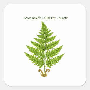 Sticker Carré Fern Signification