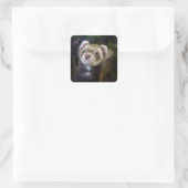 Sticker Carré Ferret (Sac)
