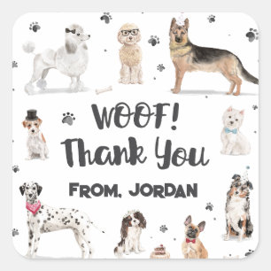 Sticker Carré Fête d'anniversaire Merci pour les chiens à l'aqua