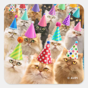 Sticker Carré Fête de chats