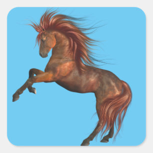 Sticker Carré Feu de soleil .. Un Magnifique Stallion Sauvage..