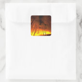 Sticker Carré Feu forestier (Sac)