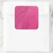Sticker Carré Feuille d'automne pourpre (Sac)