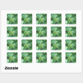 Sticker Carré Feuille de menthe fraîche (Feuille)