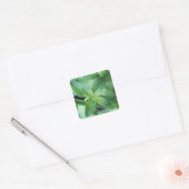 Sticker Carré Feuille de menthe fraîche (Enveloppe)
