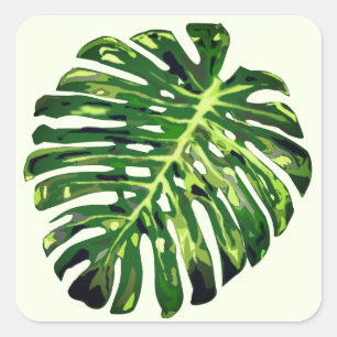 Sticker Carré Feuille de monstère tropicale - Exotique