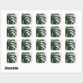 Sticker Carré Feuille tropicale Monstera (Feuille)