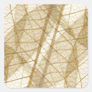 Sticker Carré Feuilles en dentelle beige crème pâle