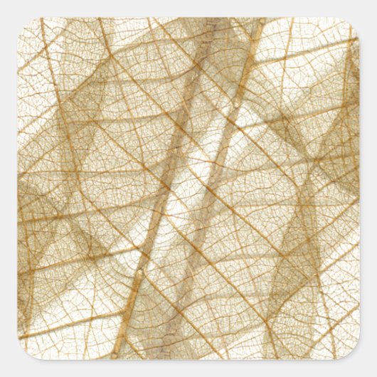 Sticker Carré Feuilles en dentelle beige crème pâle (Devant)