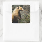 Sticker Carré Fière Ours (Sac)