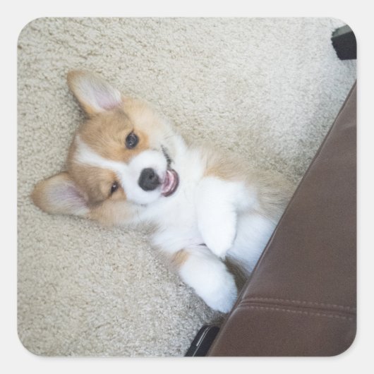 Sticker Carré fille (Devant)