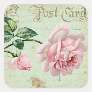 Sticker Carré Fille Roses Roses Roses Roses Roses Rose Élégant C