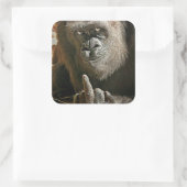 Sticker Carré Finger de Gorilla (Sac)