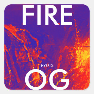 STICKER CARRÉ FIRE OG HYBRIDE