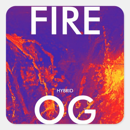 STICKER CARRÉ FIRE OG HYBRIDE (Devant)