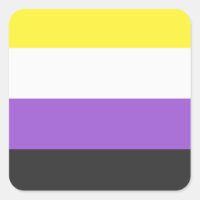 Flag non-binaire