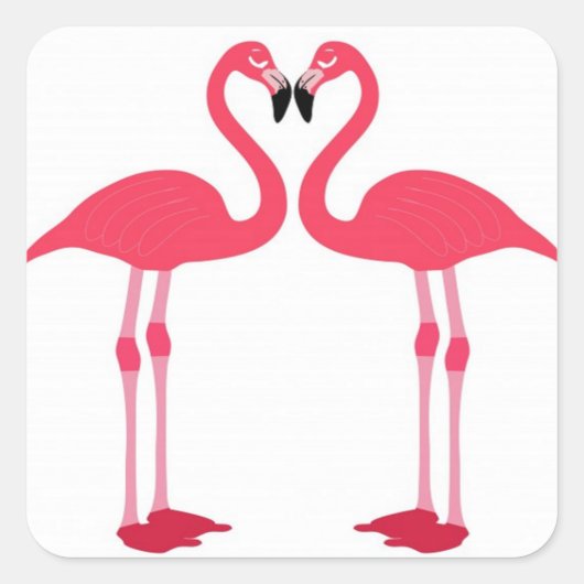 Sticker Carré flamand-oiseau-amour- (Devant)