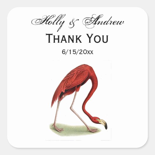 Sticker Carré Flamant rose rose vintage #1 (Devant)