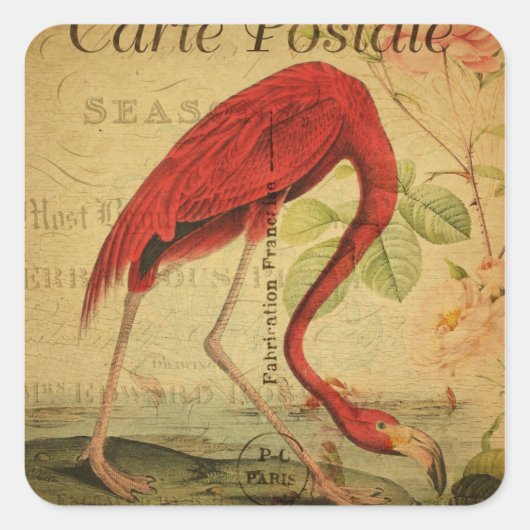 Sticker Carré Flamant rose Vintage carte postale (Devant)