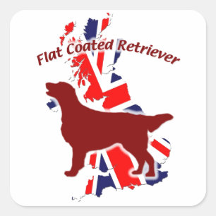 Sticker Carré Flat Coated Retriever