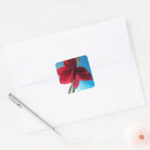 Sticker Carré Fleur Amaryllis rouge vif (Enveloppe)