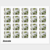 Sticker Carré Fleur blanche (Feuille)