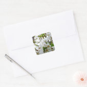 Sticker Carré Fleur blanche (Enveloppe)