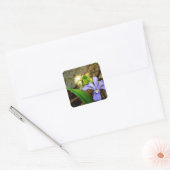 Sticker Carré Fleur blanche pourpre bleu Iris (Enveloppe)
