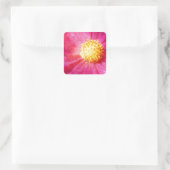 Sticker Carré Fleur Cosmo (Sac)