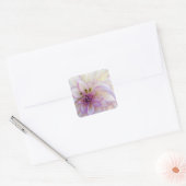 Sticker Carré Fleur Dahlia violette et blanche étonnante (Enveloppe)