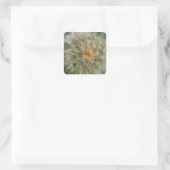 Sticker Carré Fleur Dandelion (Sac)