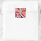 Sticker Carré Fleur d'aquarelle Stargazer rose lièvre (Sac)