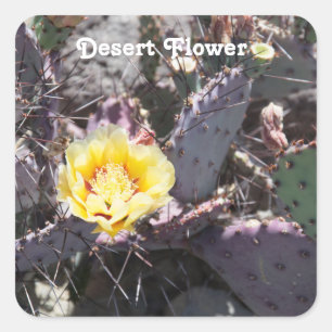 Sticker Carré Fleur de cactus jaune