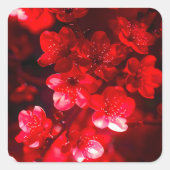 Sticker Carré Fleur de cerisier Twilight (Devant)