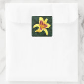 Sticker Carré Fleur de jour jaune avec rouge, Hemerocallis : (Sac)