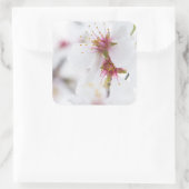 Sticker Carré Fleur de l'amandier (Sac)
