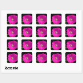 Sticker Carré fleur de pétunia rose (Feuille)